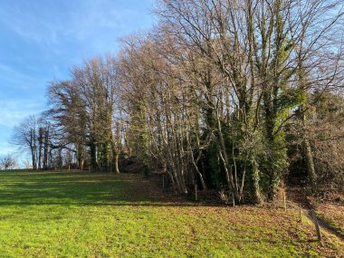 Late winter landscape with floodplain meadows, young pastures and mixed park forest on the Au peninsula, Wadenswil (Waedenswil) - Canton of Zurich (Zuerich), Switzerland / Schweiz