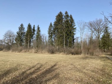 Aargau Reuss nehir ovasında (Naturschutzzone Aargauische Auen in der Reussebene), Rottenschwil - İsviçre, Schweiz