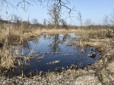 Aargau Reuss nehir ovasında (Reussebene 'de Naturschutone Aargauische Auen), Rottenschwil - İsviçre (Schweiz)