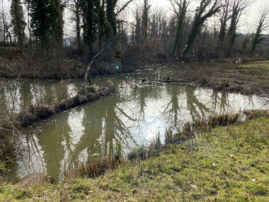 Die Altwasser im Rottenschwiler Moos and the natural protected zone Aargau Reuss river plain (Naturschutzzone Aargauische Auen in der Reussebene), Rottenschwil - İsviçre / Schweiz