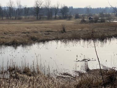 Stille Reuss (Stilli Ruess) Aargau Nehri ovasında (Naturschutzzone Aargauische Auen in der Reussebene), Rottenschwil - İsviçre / Schweiz
