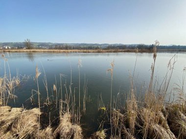 Stille Reuss (Stilli Ruess) Aargau Nehri ovasında (Naturschutzzone Aargauische Auen in der Reussebene), Rottenschwil - İsviçre / Schweiz