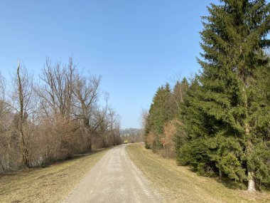 Aargau Reuss nehir ovasında (Reussebene 'de Naturschutzzone Aargauische Auen), Rottenschwil - İsviçre / Schweiz