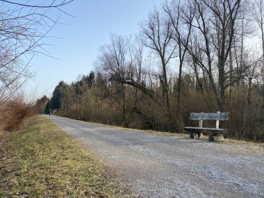 Aargau Reuss nehir ovasında (Reussebene 'de Naturschutzzone Aargauische Auen), Rottenschwil - İsviçre / Schweiz