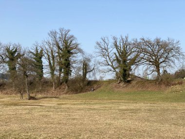 Doğal koruma alanı Aargau Reuss nehir ovasında (Naturschutzzone Aargauische Auen in der Reussebene), Rottenschwil - İsviçre / Schweiz