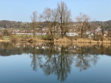 Flach gölü veya Flachsee, Aargau Reuss nehir ovasında (Reussebene 'de Naturschutzzone Aargauische Auen), Rottenschwil - İsviçre (Schweiz)
