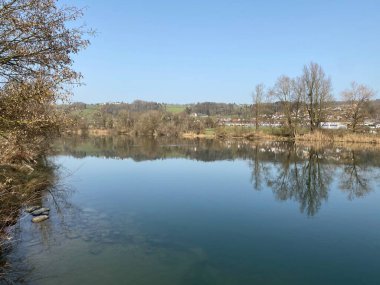 Flach gölü veya Flachsee, Aargau Reuss nehir ovasında (Reussebene 'de Naturschutzzone Aargauische Auen), Rottenschwil - İsviçre (Schweiz)