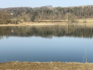 Flach gölü veya Flachsee, Aargau Reuss nehir ovasında (Reussebene 'de Naturschutzzone Aargauische Auen), Rottenschwil - İsviçre (Schweiz)