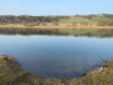 Flach gölü veya Flachsee, Aargau Reuss nehir ovasında (Reussebene 'de Naturschutzzone Aargauische Auen), Rottenschwil - İsviçre (Schweiz)