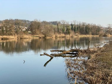 Flach gölü veya Flachsee, Aargau Reuss nehir ovasında (Reussebene 'de Naturschutzzone Aargauische Auen), Rottenschwil - İsviçre (Schweiz)