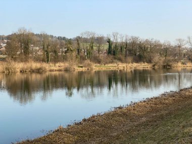 Flach gölü veya Flachsee, Aargau Reuss nehir ovasında (Reussebene 'de Naturschutzzone Aargauische Auen), Rottenschwil - İsviçre (Schweiz)