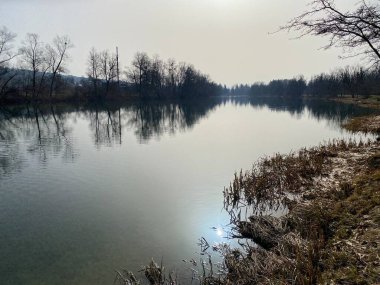 Flachsee Gölü 'nden önce Reuss Nehri ve Aargau Reuss Nehri ovasında (Reussebene' de Naturschutzzone Aargauische Auen), Rottenschwil - İsviçre (Schweiz)