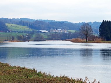 Flach gölü veya Flachsee, Aargau Reuss nehir ovasında (Reussebene 'de Naturschutzzone Aargauische Auen), Rottenschwil - İsviçre (Schweiz)