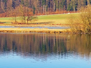 Flach gölü veya Flachsee, Aargau Reuss nehir ovasında (Reussebene 'de Naturschutzzone Aargauische Auen), Rottenschwil - İsviçre (Schweiz)