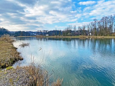 Flach gölü veya Flachsee, Aargau Reuss nehir ovasında (Reussebene 'de Naturschutzzone Aargauische Auen), Rottenschwil - İsviçre (Schweiz)