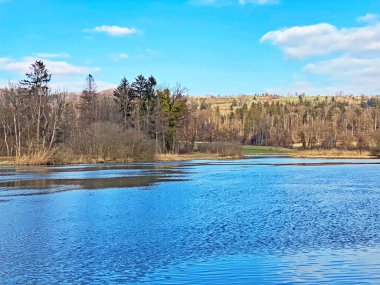 Flach gölü veya Flachsee, Aargau Reuss nehir ovasında (Reussebene 'de Naturschutzzone Aargauische Auen), Rottenschwil - İsviçre (Schweiz)