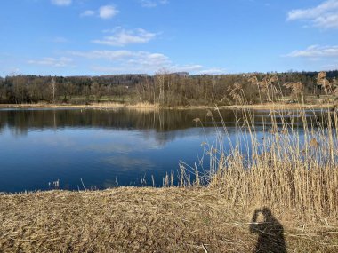 Flach gölü veya Flachsee, Aargau Reuss nehir ovasında (Reussebene 'de Naturschutzzone Aargauische Auen), Rottenschwil - İsviçre (Schweiz)