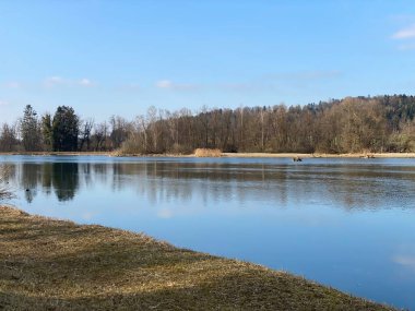 Flach gölü veya Flachsee, Aargau Reuss nehir ovasında (Reussebene 'de Naturschutzzone Aargauische Auen), Rottenschwil - İsviçre (Schweiz)