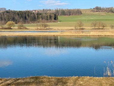 Flach gölü veya Flachsee, Aargau Reuss nehir ovasında (Reussebene 'de Naturschutzzone Aargauische Auen), Rottenschwil - İsviçre (Schweiz)