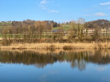 Flach gölü veya Flachsee, Aargau Reuss nehir ovasında (Reussebene 'de Naturschutzzone Aargauische Auen), Rottenschwil - İsviçre (Schweiz)