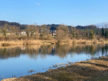 Flach gölü veya Flachsee, Aargau Reuss nehir ovasında (Reussebene 'de Naturschutzzone Aargauische Auen), Rottenschwil - İsviçre (Schweiz)
