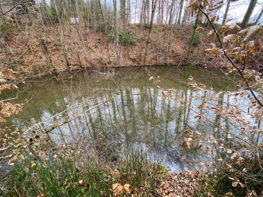 Hermetschwil Manastırı (Kloster Hermetschwil) ile Bremgarten Hidroelektrik Barajı (Kraftwerk Bremgarten-Zufikon) arasındaki Reuss Nehri - İsviçre (Schweiz)