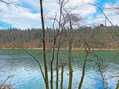 Hermetschwil Manastırı (Kloster Hermetschwil) ile Bremgarten Hidroelektrik Barajı (Kraftwerk Bremgarten-Zufikon) arasındaki Reuss Nehri - İsviçre (Schweiz)