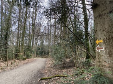 Rottenschwil ve Bremgarten 'in yerleşim yerleri arasındaki Aargau Reuss nehri doğal koruma bölgesinde gezinti yolları ve gezintileri (Schweiz)