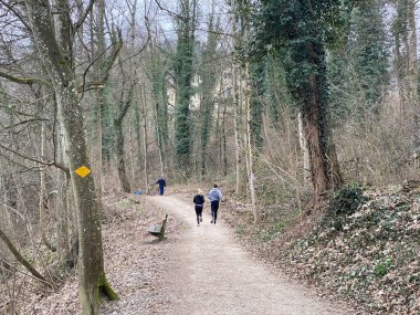 Rottenschwil ve Bremgarten 'in yerleşim yerleri arasındaki Aargau Reuss nehri doğal koruma bölgesinde gezinti yolları ve gezintileri (Schweiz)