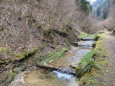 İsviçre 'nin Wolhusen köyü yakınlarındaki Stampfigraben vadisinden akan bir orman deresi (Schweiz)