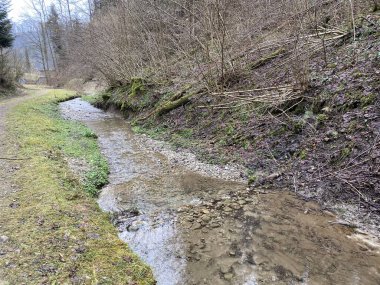 İsviçre 'nin Wolhusen köyü yakınlarındaki Stampfigraben vadisinden akan bir orman deresi (Schweiz)