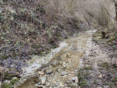 İsviçre 'nin Wolhusen köyü yakınlarındaki Stampfigraben vadisinden akan bir orman deresi (Schweiz)