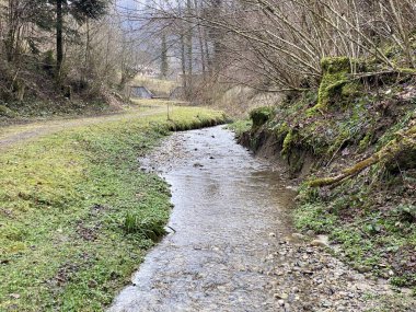 İsviçre 'nin Wolhusen köyü yakınlarındaki Stampfigraben vadisinden akan bir orman deresi (Schweiz)