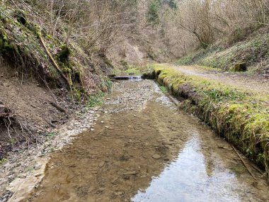 İsviçre 'nin Wolhusen köyü yakınlarındaki Stampfigraben vadisinden akan bir orman deresi (Schweiz)