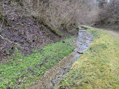 İsviçre 'nin Wolhusen köyü yakınlarındaki Stampfigraben vadisinden akan bir orman deresi (Schweiz)