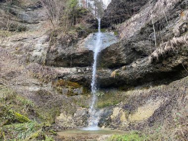 Stampfigraben vadisindeki bir derede Wolhusen - İsviçre 'nin güneydoğusundaki bir derede (Schweiz)