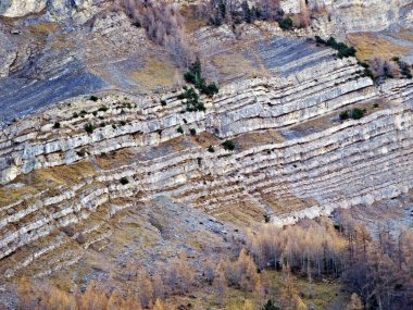 İsviçre 'nin St. Gallen Kantonu (Schweiz) Alvier grubunun dağlık dağlık dağlarındaki kayalar ve taşlar.)