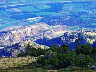 Sevelerberg ve Werdenberg dağlarının yamaçlarından Ren Vadisi 'nin (Rheintal) ünlü manzarası, İsviçre' nin St. Gallen Kantonu (Schweiz)