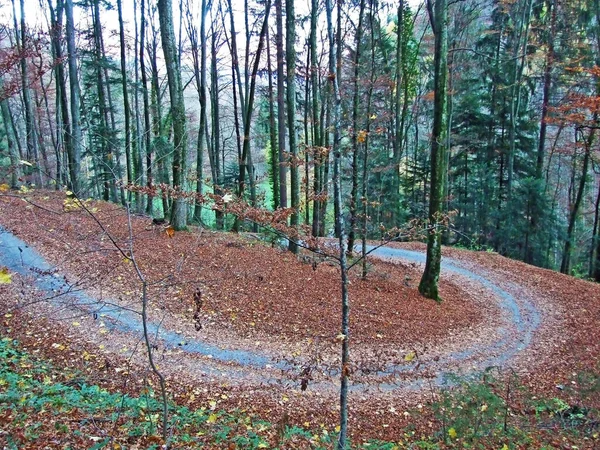 Trails for walking, hiking, sports and recreation on the slopes of the Sevelerberg and Werdenberg mountains, Sevelen - Canton of St. Gallen, Switzerland (Schweiz)