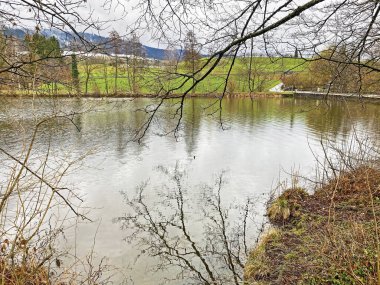 Kış sonu ve ilkbaharın başlarında Sternenweiher gölü veya Muelibach deresinin orman vadisi üzerindeki Sternensee gölü, Samstagern - Zuerich Kantonu veya Zürih, İsviçre (Schweiz)