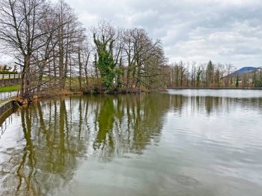 Kış sonu ve ilkbaharın başlarında Sternenweiher gölü veya Muelibach deresinin orman vadisi üzerindeki Sternensee gölü, Samstagern - Zuerich Kantonu veya Zürih, İsviçre (Schweiz)