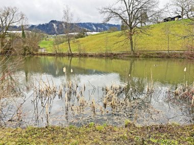 Kış sonu ve ilkbaharın başlarında Sternenweiher gölü veya Muelibach deresinin orman vadisi üzerindeki Sternensee gölü, Samstagern - Zuerich Kantonu veya Zürih, İsviçre (Schweiz)