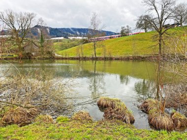 Kış sonu ve ilkbaharın başlarında Sternenweiher gölü veya Muelibach deresinin orman vadisi üzerindeki Sternensee gölü, Samstagern - Zuerich Kantonu veya Zürih, İsviçre (Schweiz)