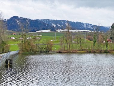 Kış sonu ve ilkbaharın başlarında Sternenweiher gölü veya Muelibach deresinin orman vadisi üzerindeki Sternensee gölü, Samstagern - Zuerich Kantonu veya Zürih, İsviçre (Schweiz)
