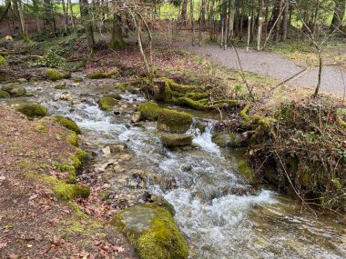 Krebsbach deresi Freyenweijer gölünden sonra ve küçük orman vadisi Bachtobel, Samstagern - Zuerich Kantonu (veya Zürih), İsviçre (Schweiz)
