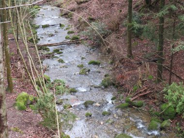 Krebsbach deresi Freyenweijer gölünden sonra ve küçük orman vadisi Bachtobel, Samstagern - Zuerich Kantonu (veya Zürih), İsviçre (Schweiz)