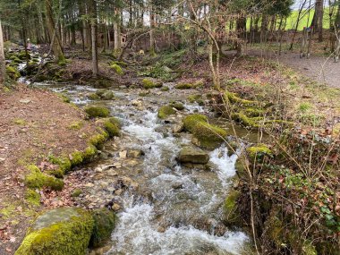 Krebsbach deresi Freyenweijer gölünden sonra ve küçük orman vadisi Bachtobel, Samstagern - Zuerich Kantonu (veya Zürih), İsviçre (Schweiz)