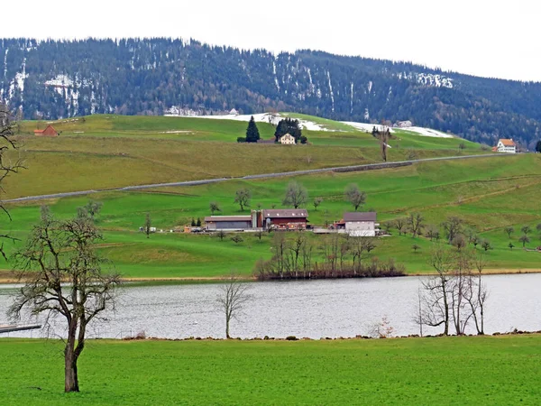 Nature protection area Huettnersee lake or Huettner lake (Huettner see oder Huettnerseeli), Samstagern - Canton of Zuerich (or Zurich), Switzerland (Schweiz)