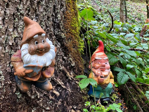 Miniature figurines of dwarfs at the base of a tree and in a natural forest environment, Schonenberg (Schoenenberg) - Canton of Zuerich (or Zurich), Switzerland / Schweiz