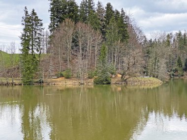 Sihl, Schonenberg (Schoenenenberg) kanyonu üzerinde Teufenbachweier gölü veya Teifebachweiher göleti - Zuerich Kantonu (veya Zürih), İsviçre / Schweiz